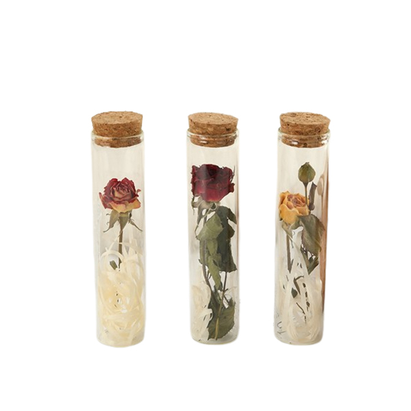 Dried Rose Test Tube Glass Decoration