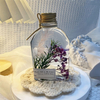 Preserved Natural Long Lasting Flower Home Interior Decor