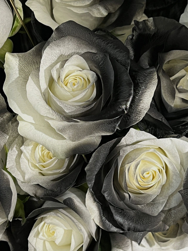 Black Premium Forever Flowers Bouquet