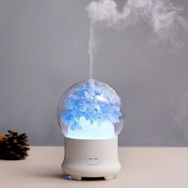 Preserved Flower Diffuser