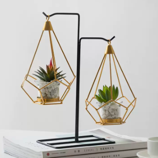 Planted Tank with Stand