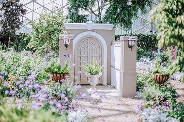 How can i make my garden look nice with no money