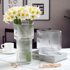 Clear Vertical Glass Vase
