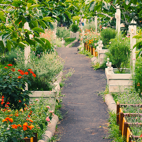 Garden&Outdoor