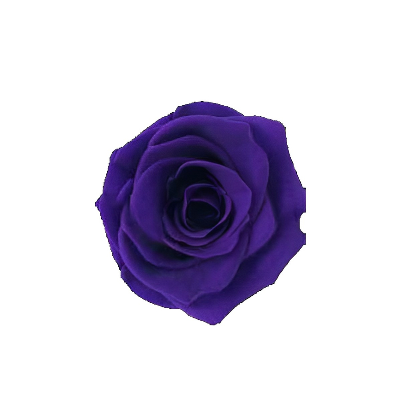 Dark Violet