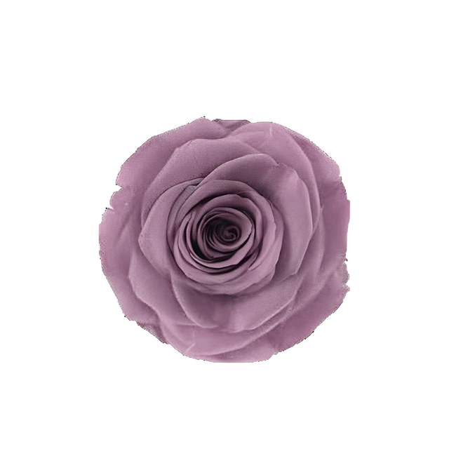 Pink Taro