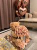 Forever Flower Teddy Bear Hug Bucket