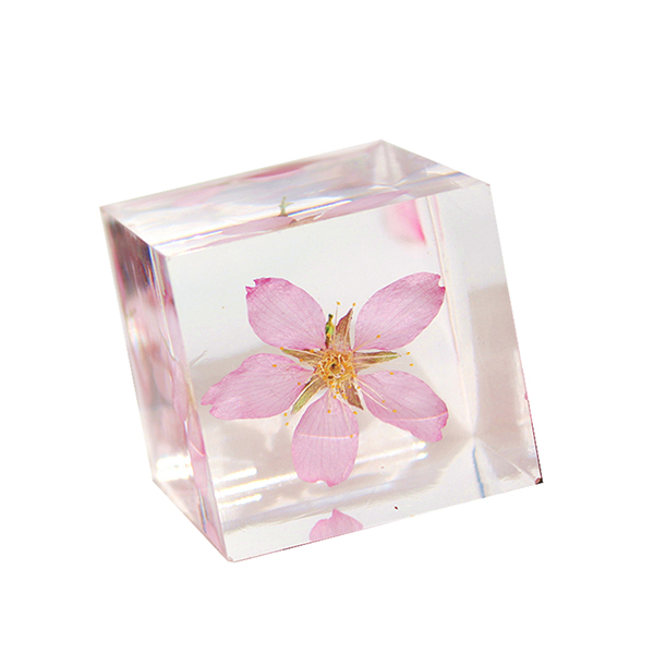 Plant Specimen Glass Decoration