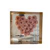 CD Rose Eternal Flower