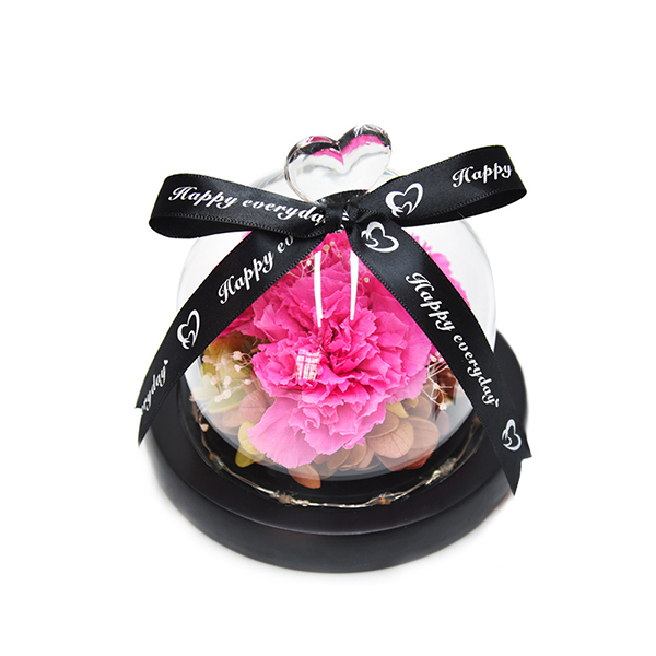 Preserved Carnation Flowers in Glass Dome Led Table Lamp Decor