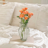 Double Ear Clear Glass Vase