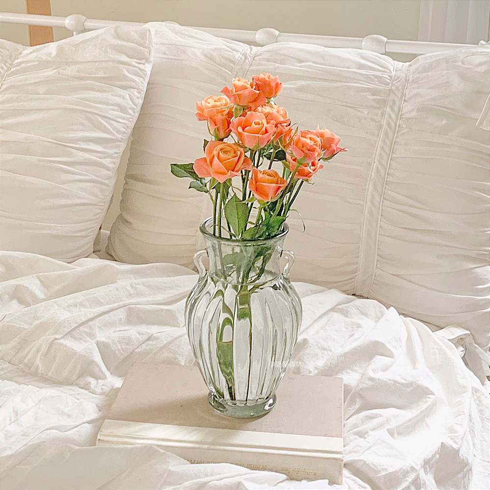 Double Ear Clear Glass Vase