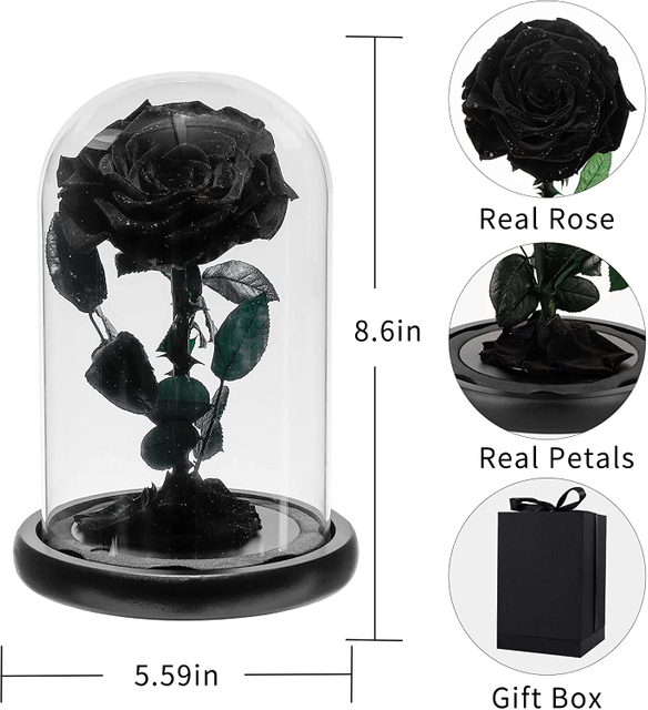 Preserved Real Rose in Glass Dome Gift for Her
