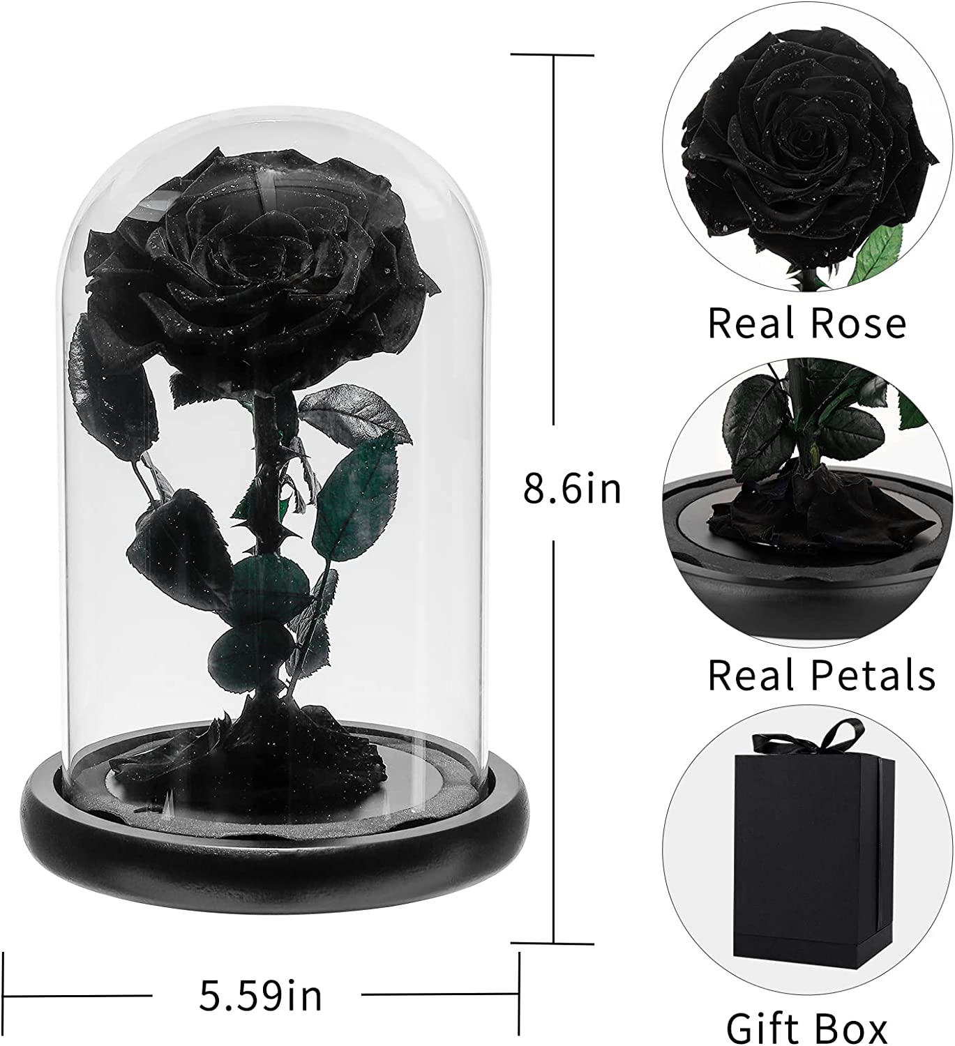 Preserved Real Rose in Glass Dome Gift for Her