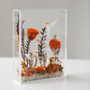 Preserved Rose Flowers in Acrylic Box Elegant Gifts for Women
