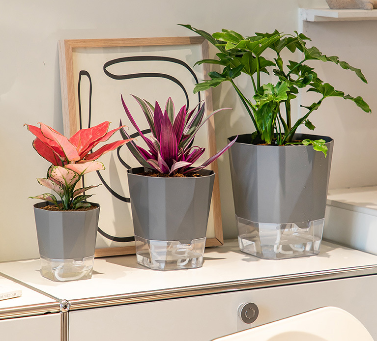 Self Watering Pots for Indoor Plants