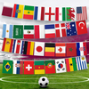 International Countries Flag Bunting Banners for Decorations