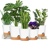 Garden Plant Pots with Drainage Holes 