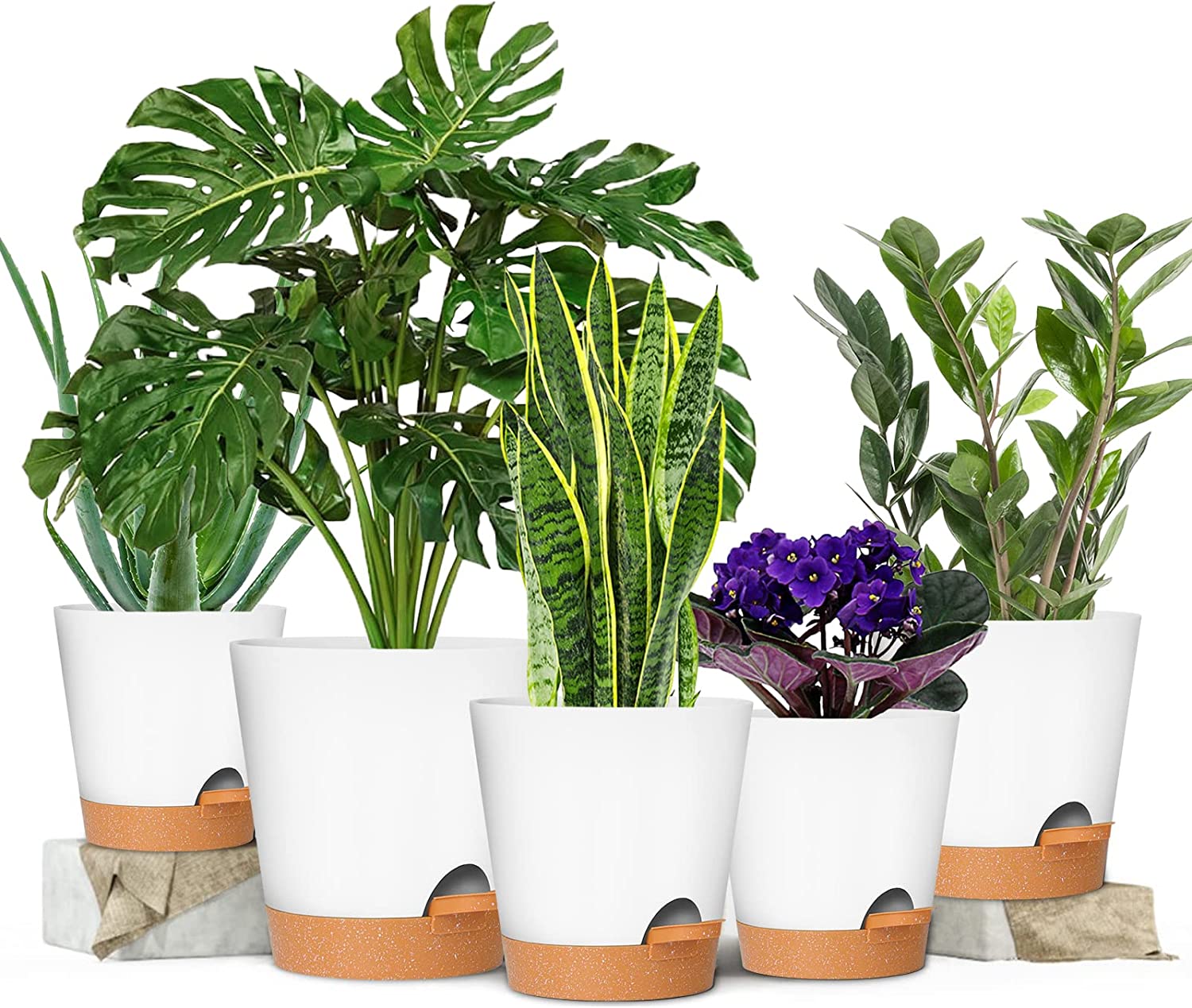 Garden Plant Pots with Drainage Holes 