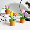 Hand-woven Rose Pot Decoration