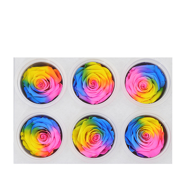 Eternal rose colorful gradient