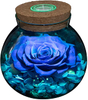 Eternal Roses with Colorful Mood Light