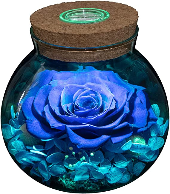 Eternal Roses with Colorful Mood Light