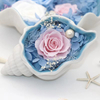 Home Decor Preserved Rose with Ceramics Conch Gift for Women