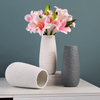 Simple Ceramic Vase Home Decoration