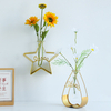 Creative Hydroponic Test Tube Wall Hanging Decoration Vase