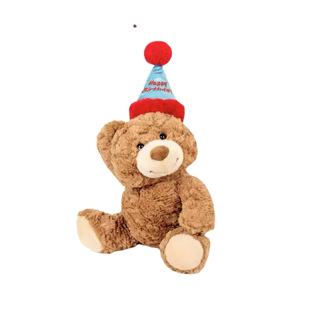 Birthday Hat Teddy Bear Throw Pillow