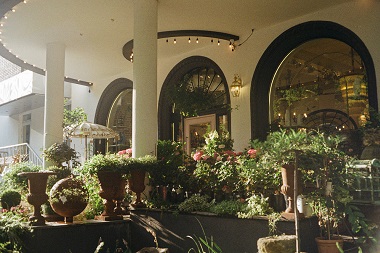 How can i make a cheap garden makeover