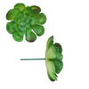 Artificial Succulents Realistic Fake Plants Office Decoration