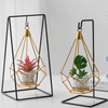 Planted Tank with Stand