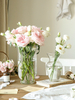 Nordic Ins Style Clear Glass Vase