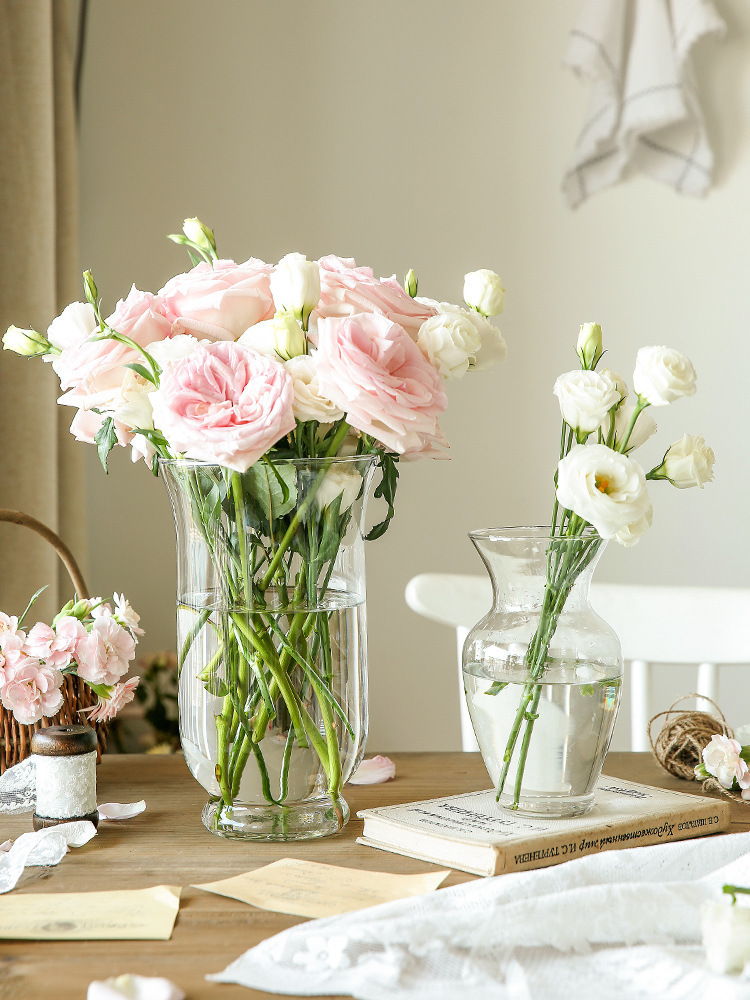 Nordic Ins Style Clear Glass Vase