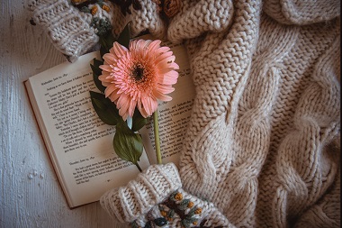 The Benefits of Forever Flowers for Home Décor