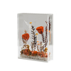 Preserved Rose Flowers in Acrylic Box Elegant Gifts for Women