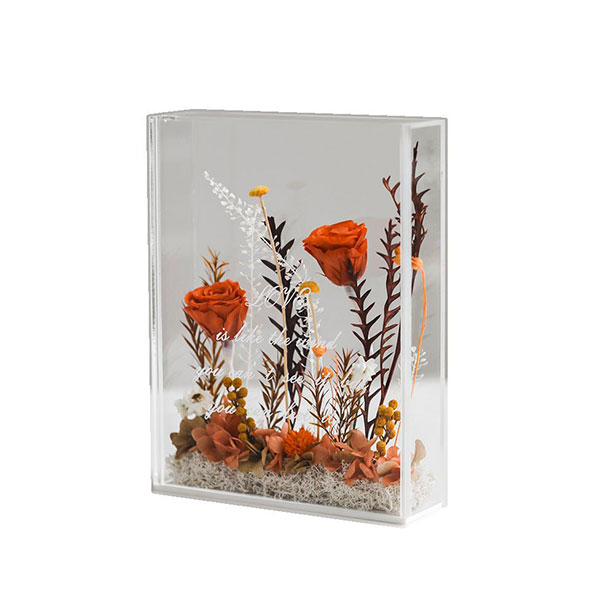 Preserved Rose Flowers in Acrylic Box Elegant Gifts for Women