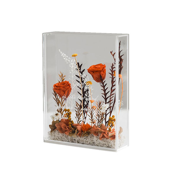Preserved Rose Flowers in Acrylic Box Elegant Gifts for Women