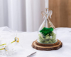 Preserved Rose in Angel Glass Eternal Flower Gifts