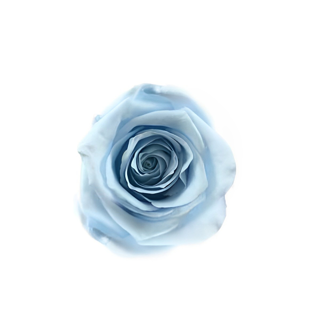 Baby Blue