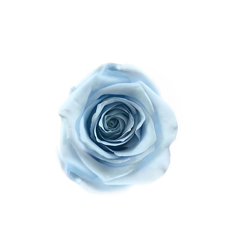 Baby Blue