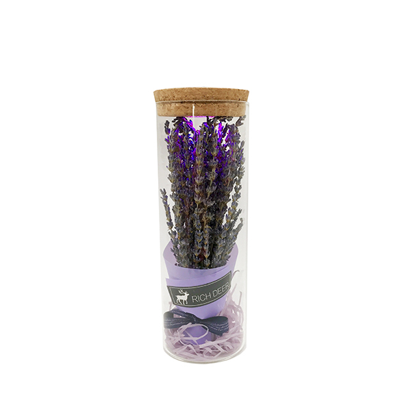 Eternal Bouquet Luminous Bottle