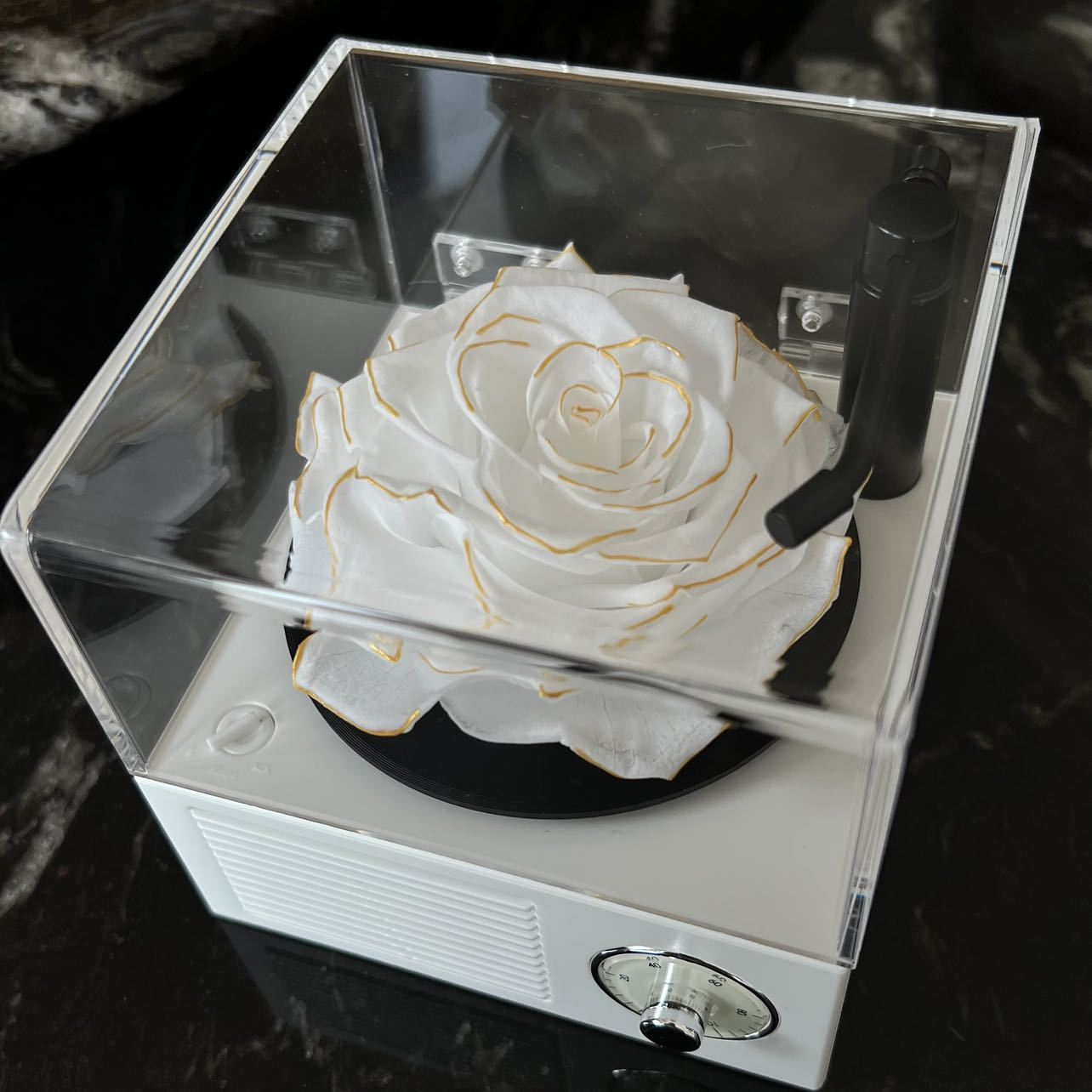 Immortal Rose Bluetooth Phonograph