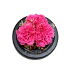 Preserved Carnation Flowers in Glass Dome Led Table Lamp Decor