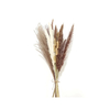 Dried Reed Bouquet of Forever Flowers