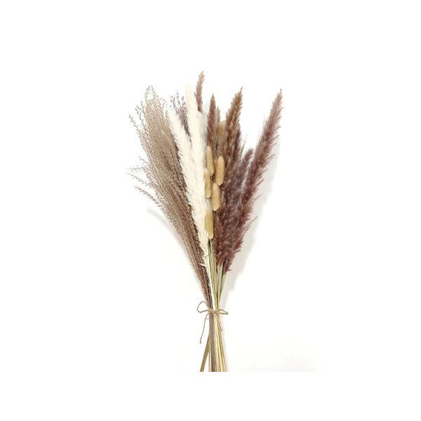 Dried Reed Bouquet of Forever Flowers