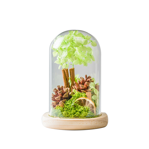 Cinnamon Lemon Glass Covered Forever Flowers