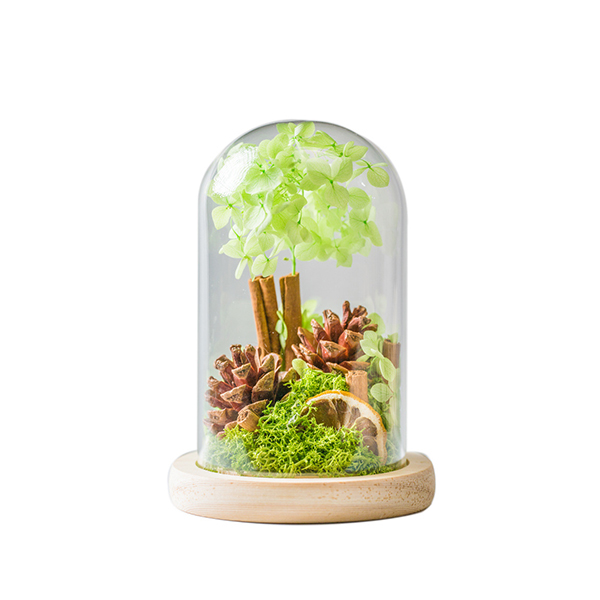 Cinnamon Lemon Glass Covered Forever Flowers